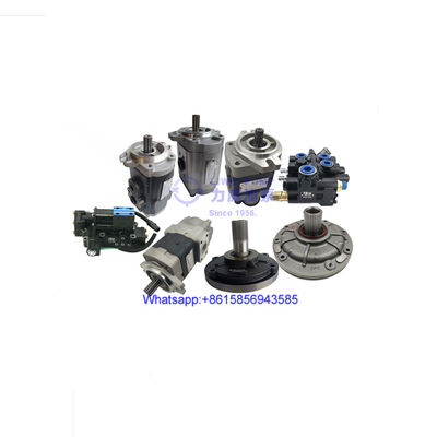 Загрузочная помпа передачи грузоподъемника для CLARKK GTS 33D 1245021